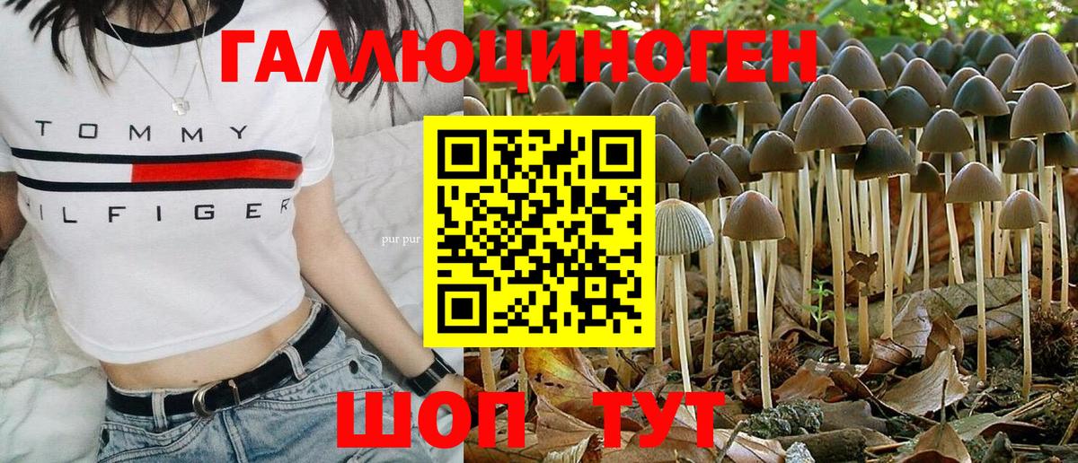 Псилоцибиновые грибы Cubensis Бор